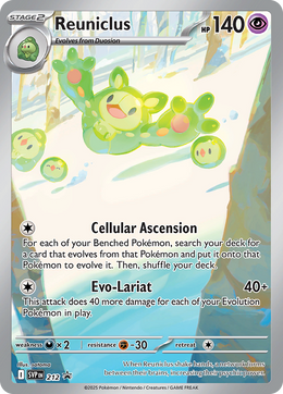 Symbios 212/PROMO — Pokémon Promo Écarlate et Violet (SVP)