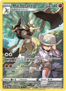 Hachécateur TG08/216 Pokémon Astres Radieux (ASR)