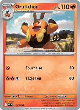 Grotichon 012/173 Pokémon Flamme Blanche (WHT)