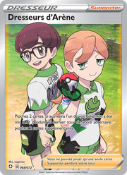 Dresseurs d'Arène 68/195 — Pokémon Destinées Radieuses (SHF)