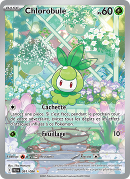 Chlorobule 091/86 — Pokémon Foudre Noire (BLK)