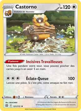 Castorno 121/216 Pokémon Stars Étincelantes