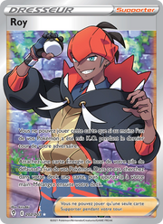 Roy 202/237 — Pokémon Évolution Céleste (EVS)