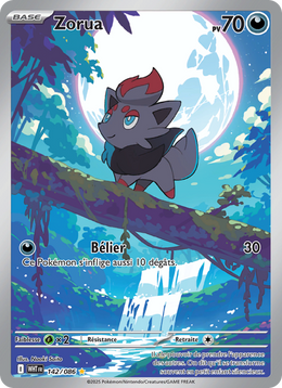 Zorua 142/86 — Pokémon Flamme Blanche (WHT)
