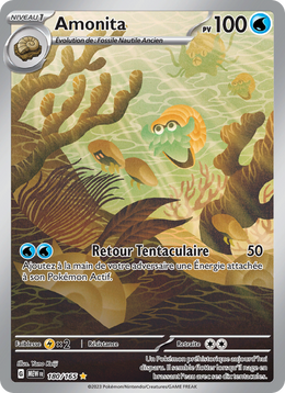 Amonita - Omanyte - 151 180