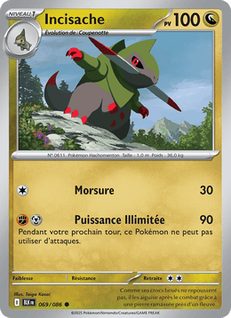 Incisache 069/172 Pokémon Foudre Noire (BLK)