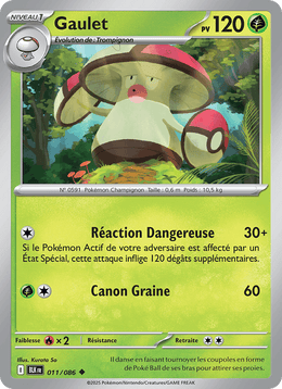 Gaulet 011/172 Pokémon Foudre Noire (BLK)