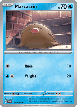 Marcacrin 023/130 Pokémon Flammes Fantasmagoriques (ME02)