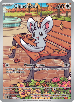 Chinchidou 152/86 — Pokémon Foudre Noire (BLK)