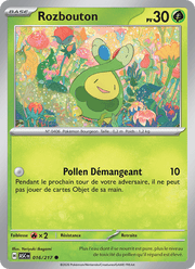 Rozbouton 016/295 Pokémon Héros Transcendants (ME2.5)