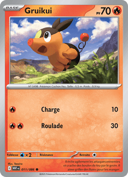 Gruikui 011/173 Pokémon Flamme Blanche (WHT)