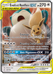 Évoli et Ronflex GX 120/196 — Pokémon Duo de Choc (TEU)