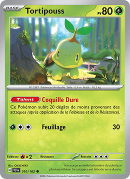 Tortipouss 010/218 Pokémon Forces Temporelles (EV05)