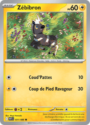 Zébibron 031/173 Pokémon Flamme Blanche (WHT)