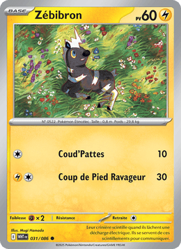 Zébibron 031/173 Pokémon Flamme Blanche (WHT)