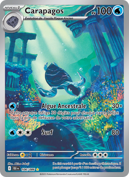 Carapagos 106/86 — Pokémon Foudre Noire (BLK)
