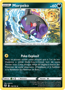 Morpeko 116/215 Pokémon Tempête Argentée (SIT)