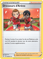 Dresseurs d'Arène 59/73 Pokémon Destinées Radieuses (SHF)
