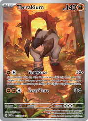 Terrakium 135/86 — Pokémon Flamme Blanche (WHT)
