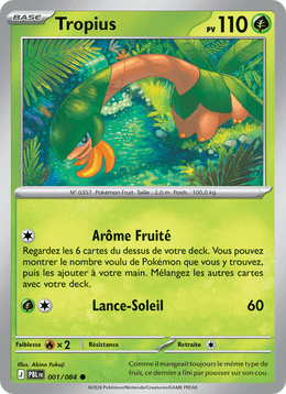 Tropius 001/120 Pokémon Nuit Noire (ME05)