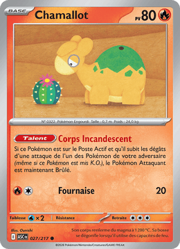 Chamallot 027/295 Pokémon Héros Transcendants (ME2.5)