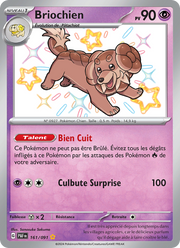 Briochien - Dachsbun - Destinées de Paldea 161
