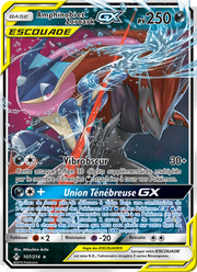 Amphinobi et Zoroark GX 107/234 — Pokémon Alliance Infaillible (UNB)