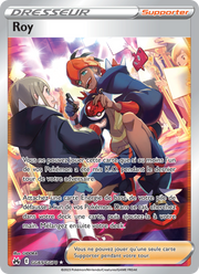 Roy GG65/230 — Pokémon Zénith Suprême (CRZ)