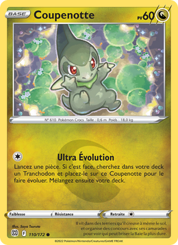 Coupenotte 110/216 Pokémon Stars Étincelantes