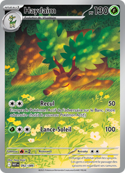 Haydaim 092/86 — Pokémon Flamme Blanche (WHT)