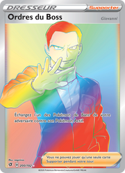 Ordres du Boss (Giovanni) 200/209 Pokémon Clash des Rebelles