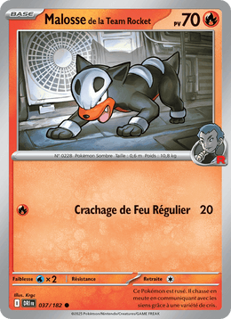 Malosse de la Team Rocket 037/244 Pokémon Rivalités Destinées (EV10)