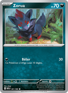 Zorua 061/173 Pokémon Flamme Blanche (WHT)