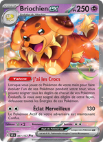 Briochien-ex - Dachsbun ex - Couronne Stellaire 067