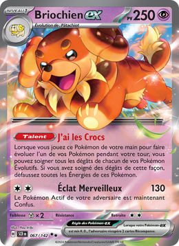 Briochien-ex - Dachsbun ex - Couronne Stellaire 067