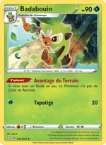 Badabouin 12/73 Pokémon Destinées Radieuses (SHF)