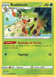 Badabouin 12/73 Pokémon Destinées Radieuses (SHF)