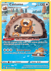 Castorno GG25/160 Pokémon Zénith Suprême (CRZ)