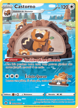 Castorno GG25/160 Pokémon Zénith Suprême (CRZ)