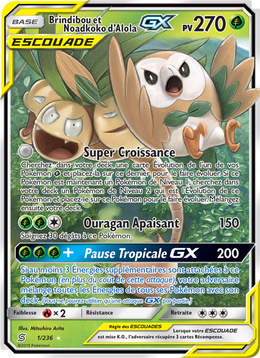 Brindibou et Noadkoko d’Alola GX 1/258 — Pokémon Harmonie des Esprits (UNM)