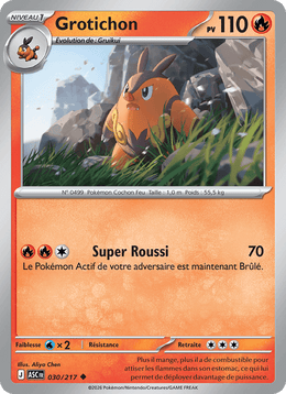 Grotichon 030/295 Pokémon Héros Transcendants (ME2.5)