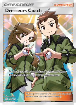 Dresseurs Coach 233/258 — Pokémon Harmonie des Esprits (UNM)
