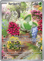 Poussacha 196/279 — Pokémon Évolutions à Paldea (EV02)