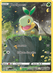 Tortipouss GG31/160 Pokémon Zénith Suprême (CRZ)