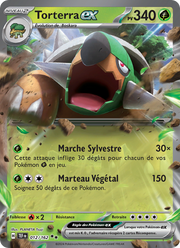 Torterra-ex - Torterra ex - Forces Temporelles 012