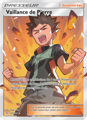 Vaillance de Pierre 172/196 — Pokémon Duo de Choc (TEU)