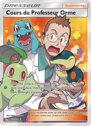 Cours du Professeur Orme 213/236 — Pokémon Tonnerre Perdu (LOT)