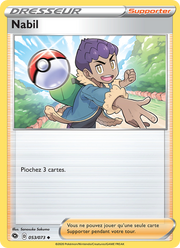 Nabil 53/80 Pokémon La Voie du Maître