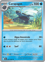 Carapagos 022/172 Pokémon Foudre Noire (BLK)