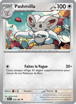 Pashmilla 076/172 Pokémon Foudre Noire (BLK)